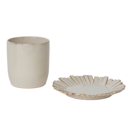 Dermot Pot image 2
