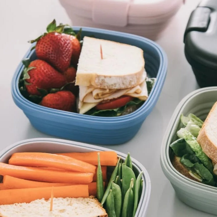 Collapsible Jr. Food Storage Box - 24oz image 4