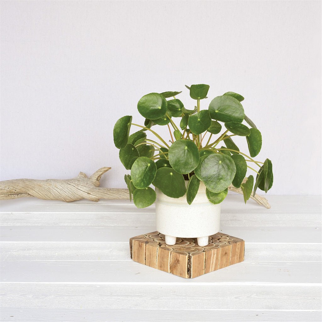 Fluorite Footed Pot image 1