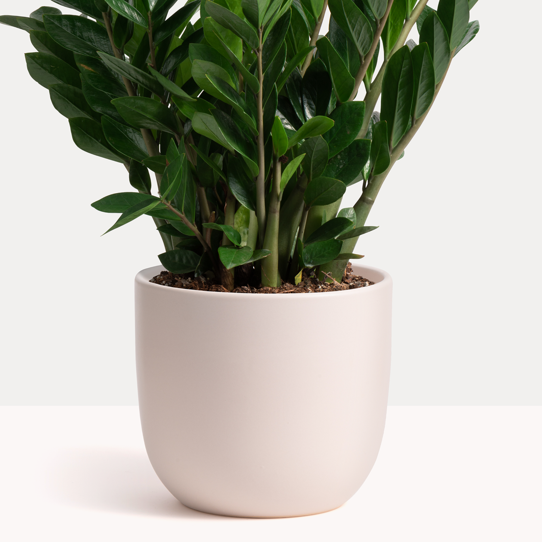 Ceramic Egg Planter image 2