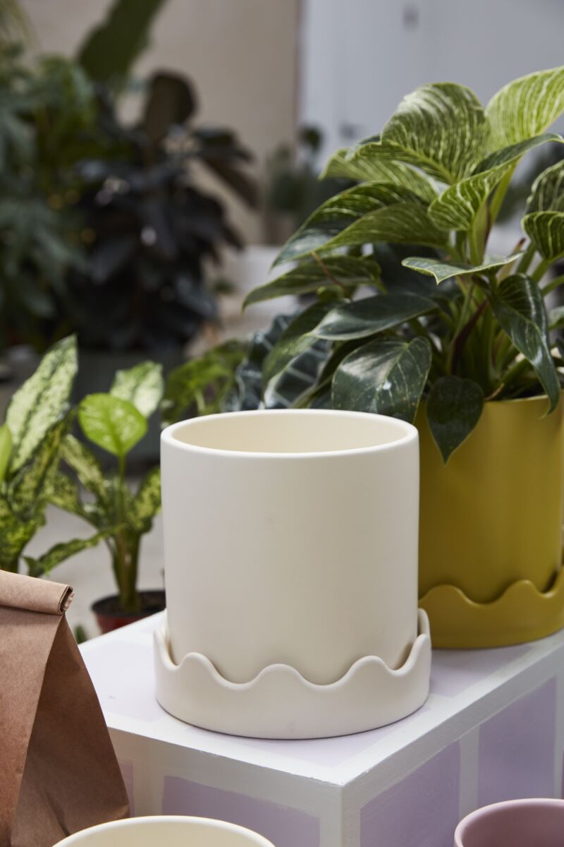 Pissaro Pot with Saucer image 3