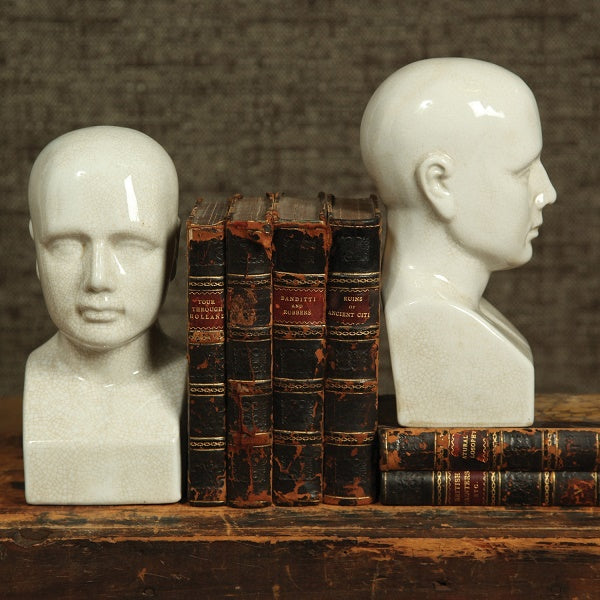 Phrenology Head image 1