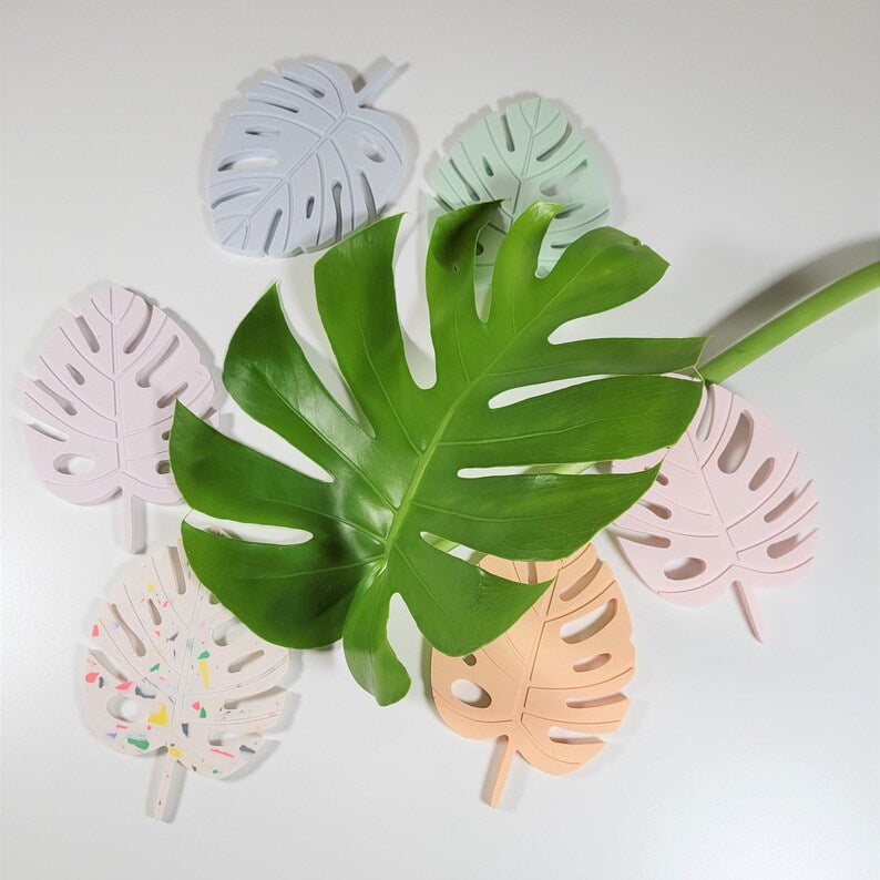 Monstera Coaster image 5