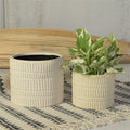 Moto Pot image 0