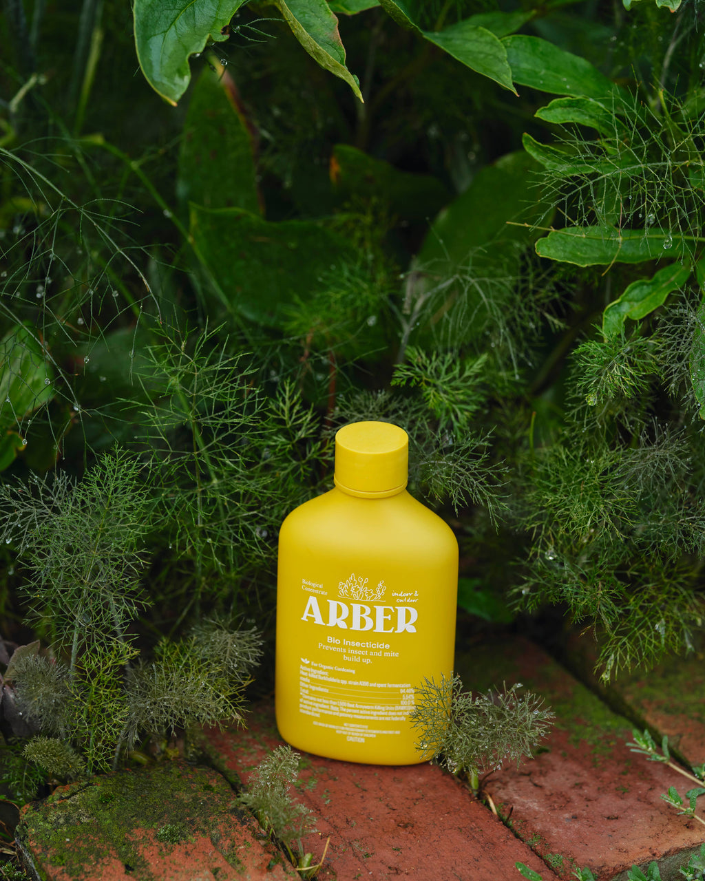 Organic Arber Bio Insecticide - 8oz