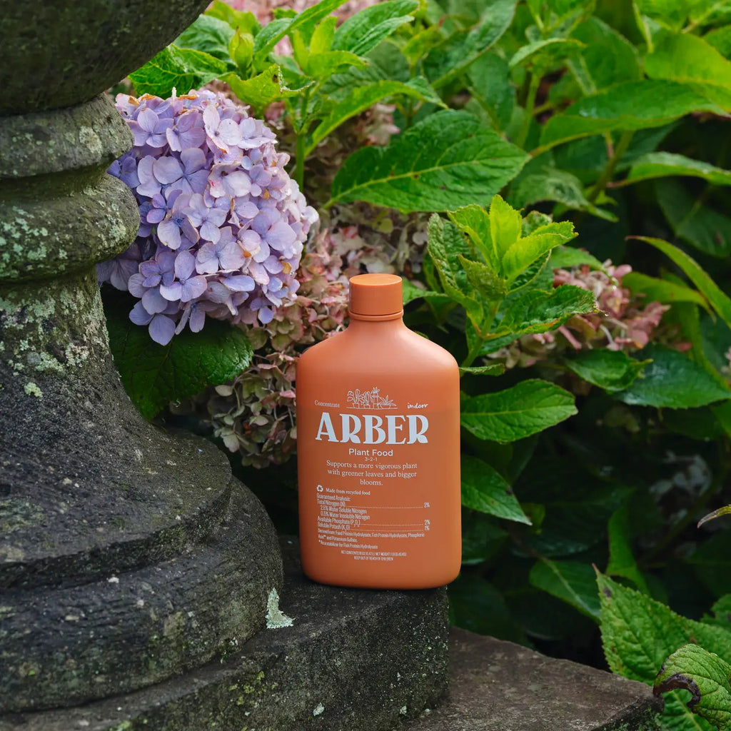 Organic Arber Plant Food - 8oz image 3