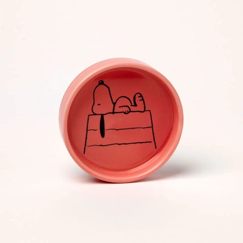 Peanuts Pin Dish image 0