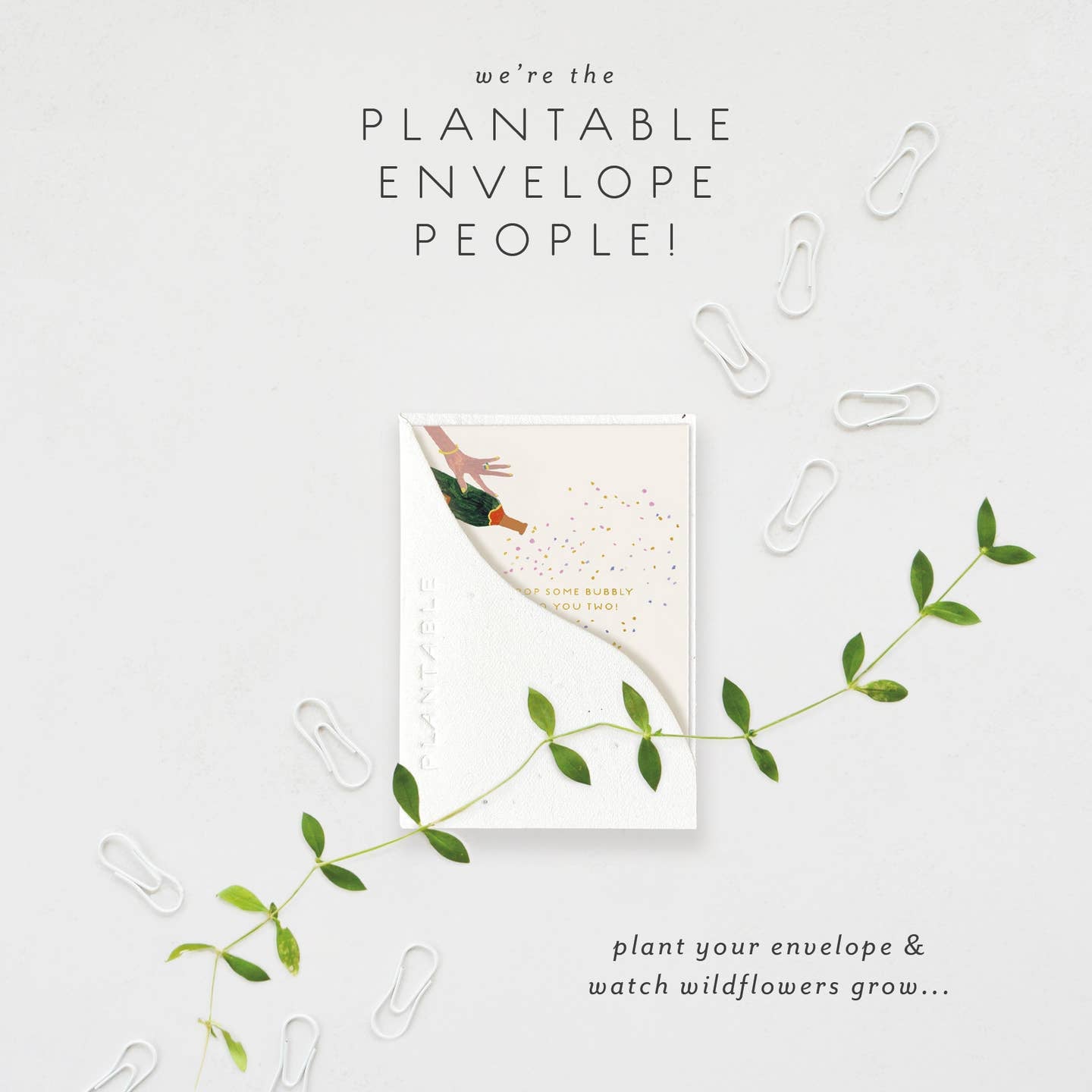 Pop Some Bubbly - Engagement & Wedding Card image 3