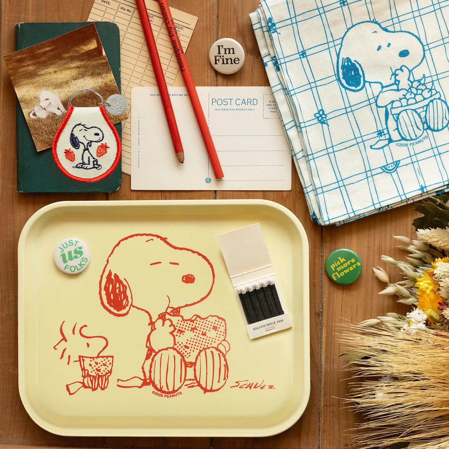 Peanuts Tray - Snoopy & Woodstock Watermelon image 2
