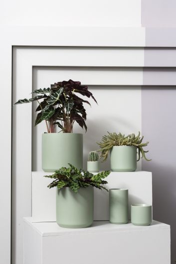 Kendall Pot image 14