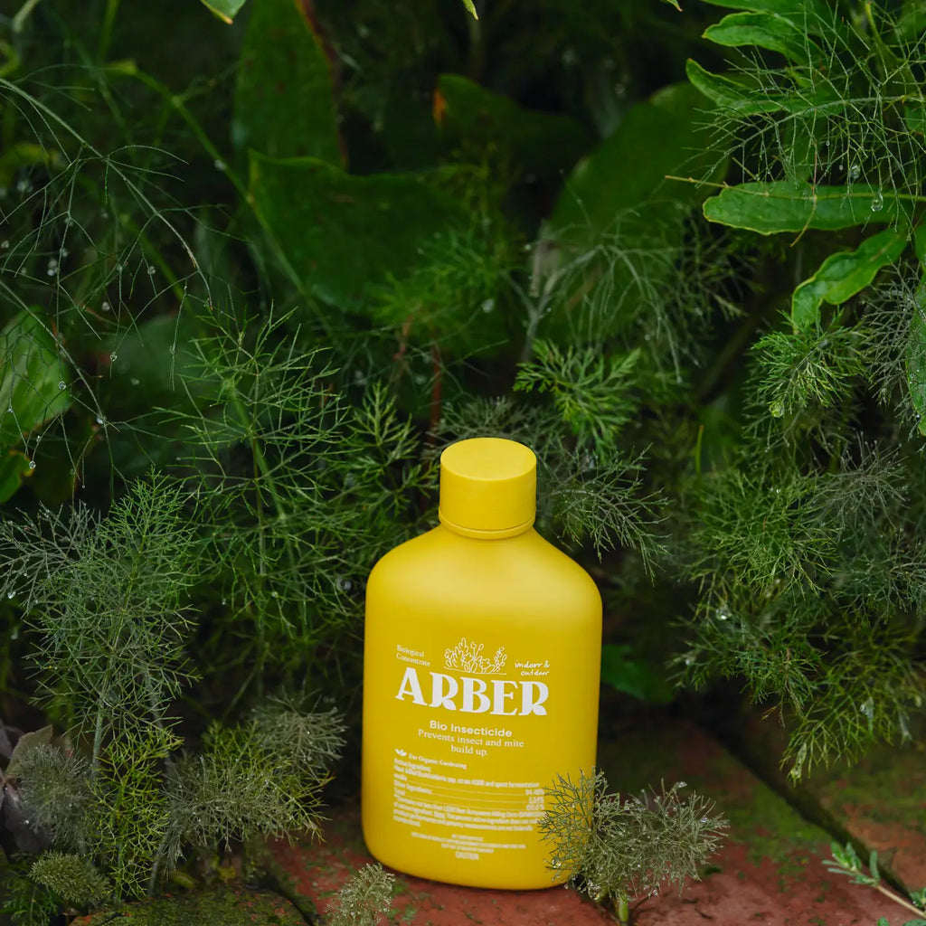Organic Arber Bio Insecticide - 8oz image 2