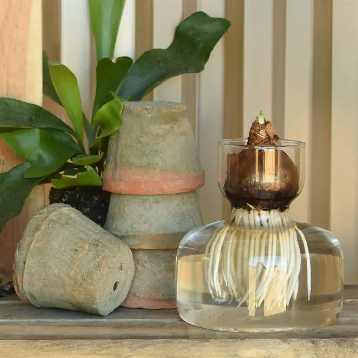 Glass Bulb Vase w/ Wide Bottom image 1