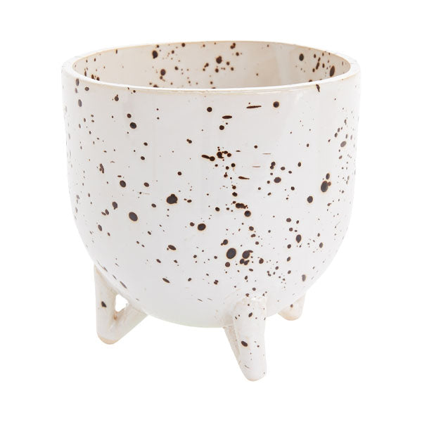 Reid Pot image 2