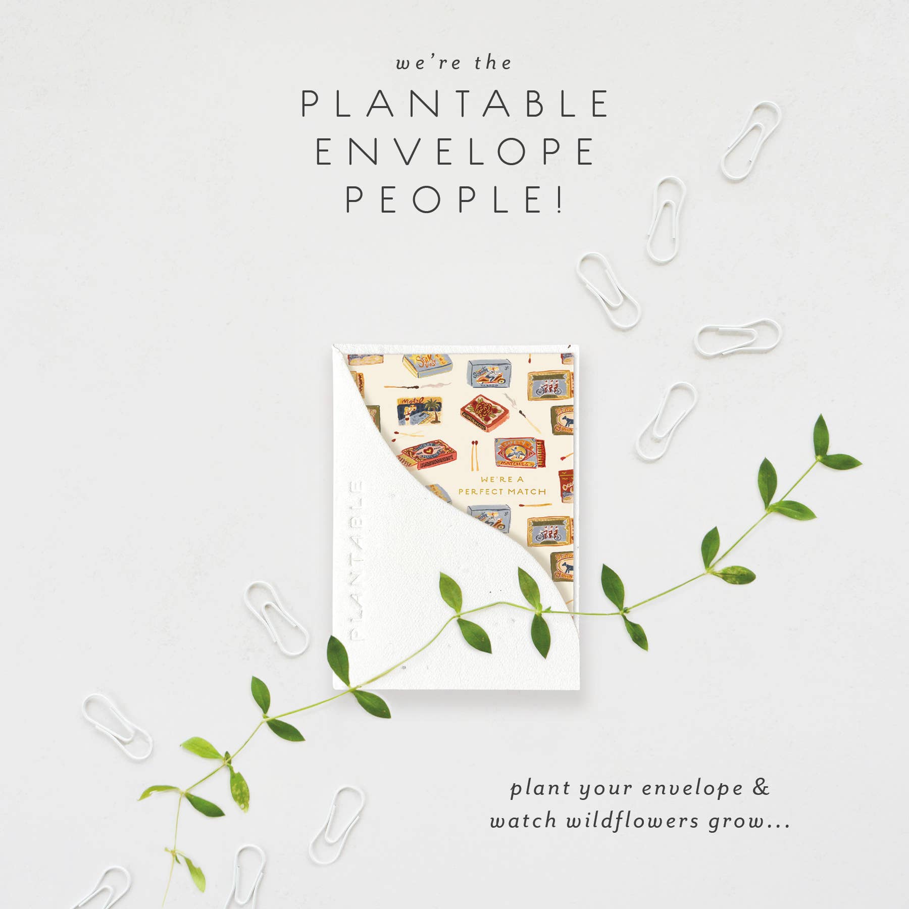 Matchbooks Sprout - Anniversary Mini Greet