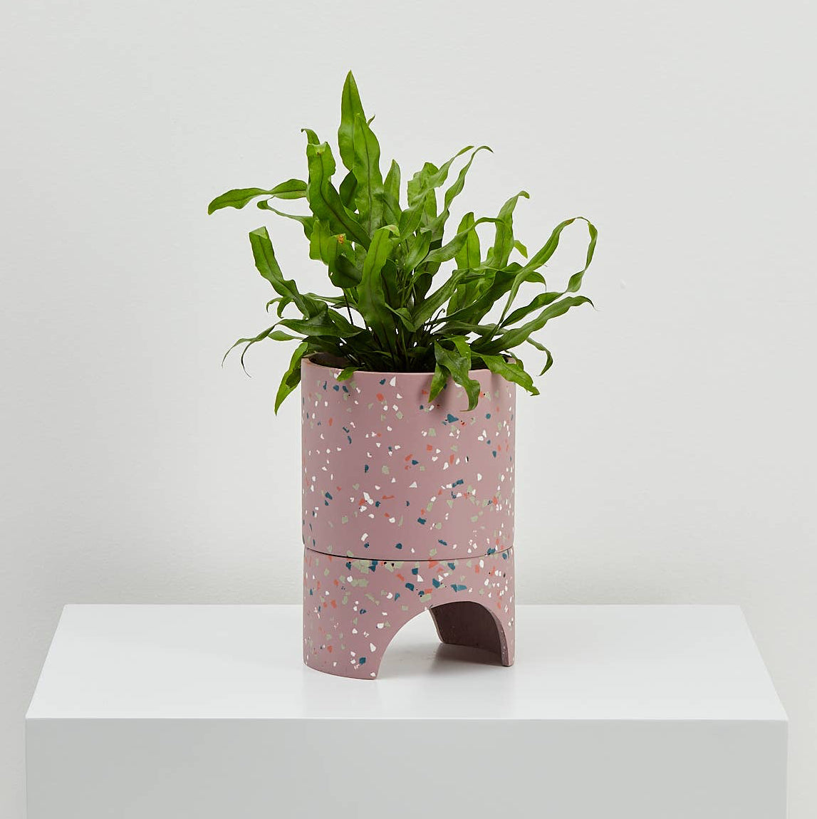 Archie Planter - Musk Terrazzo