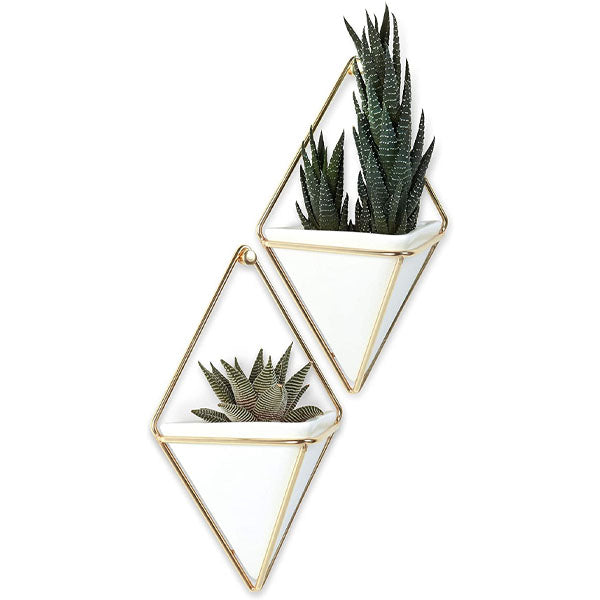 Trigg Wall Vessel Display Gold image 4