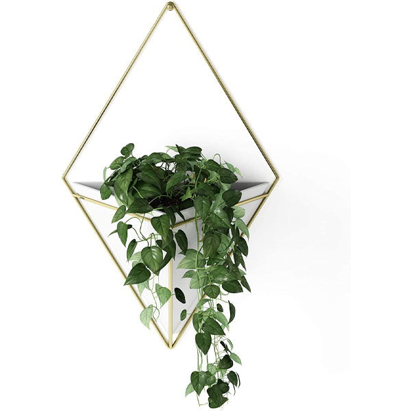 Trigg Wall Vessel Display Gold image 2