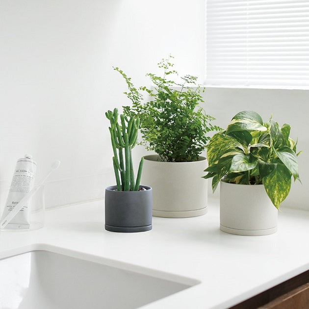 Plant Pot with Saucer image 1