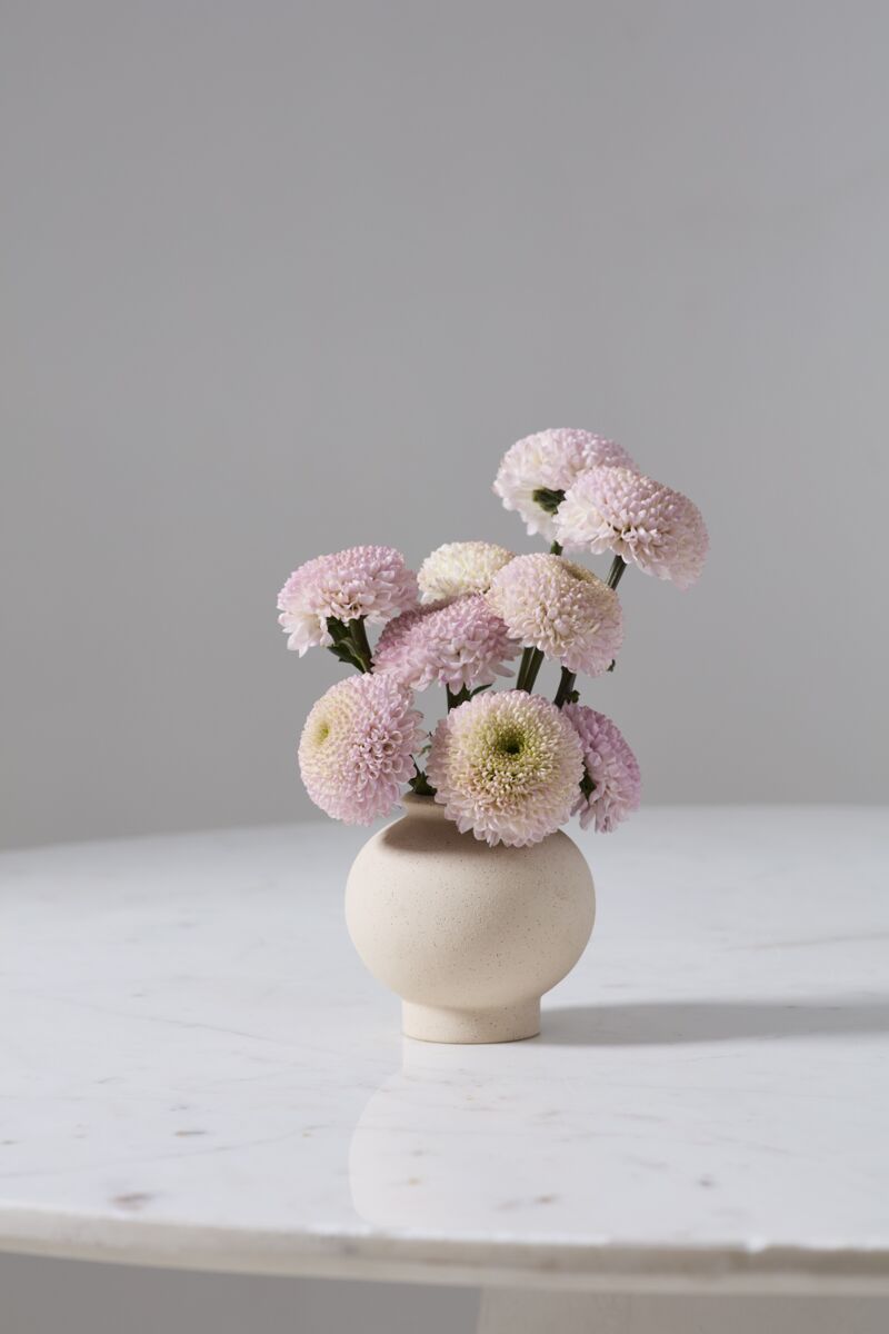 Stockton Budvase