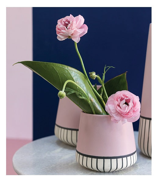 Pixie Pot image 1