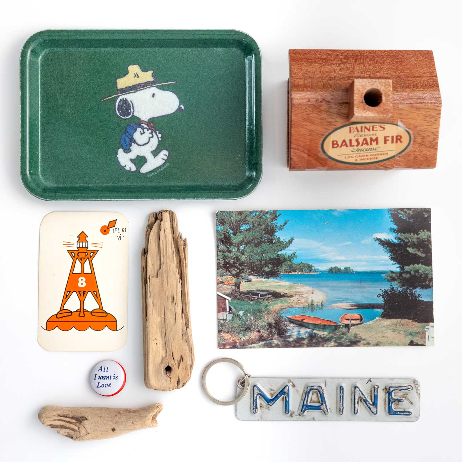 Snoopy Beagle Scout Hike Tray