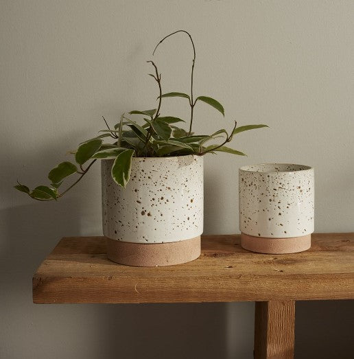 Briar Pot image 1