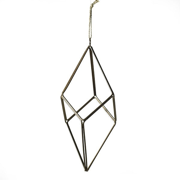 Tillandsia Hanger image 3