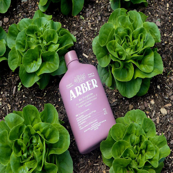 Organic Arber Bio Fungicide - 8oz image 3