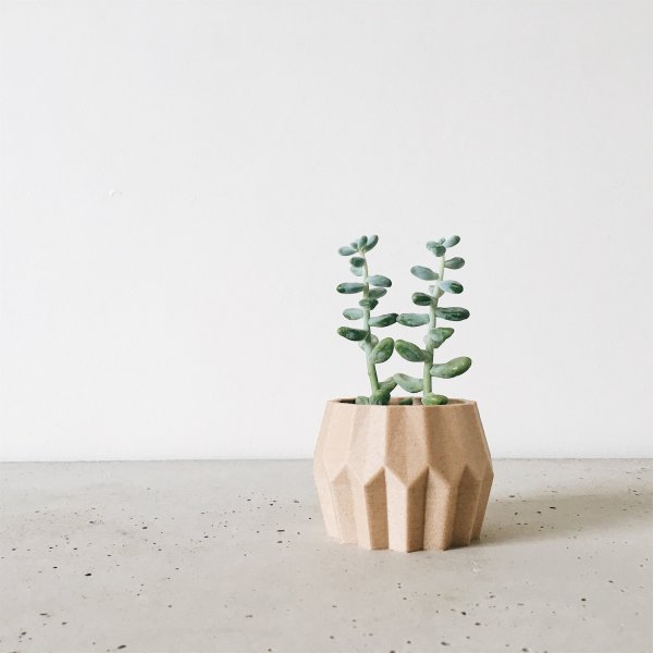 Natural Wood Planter image 3