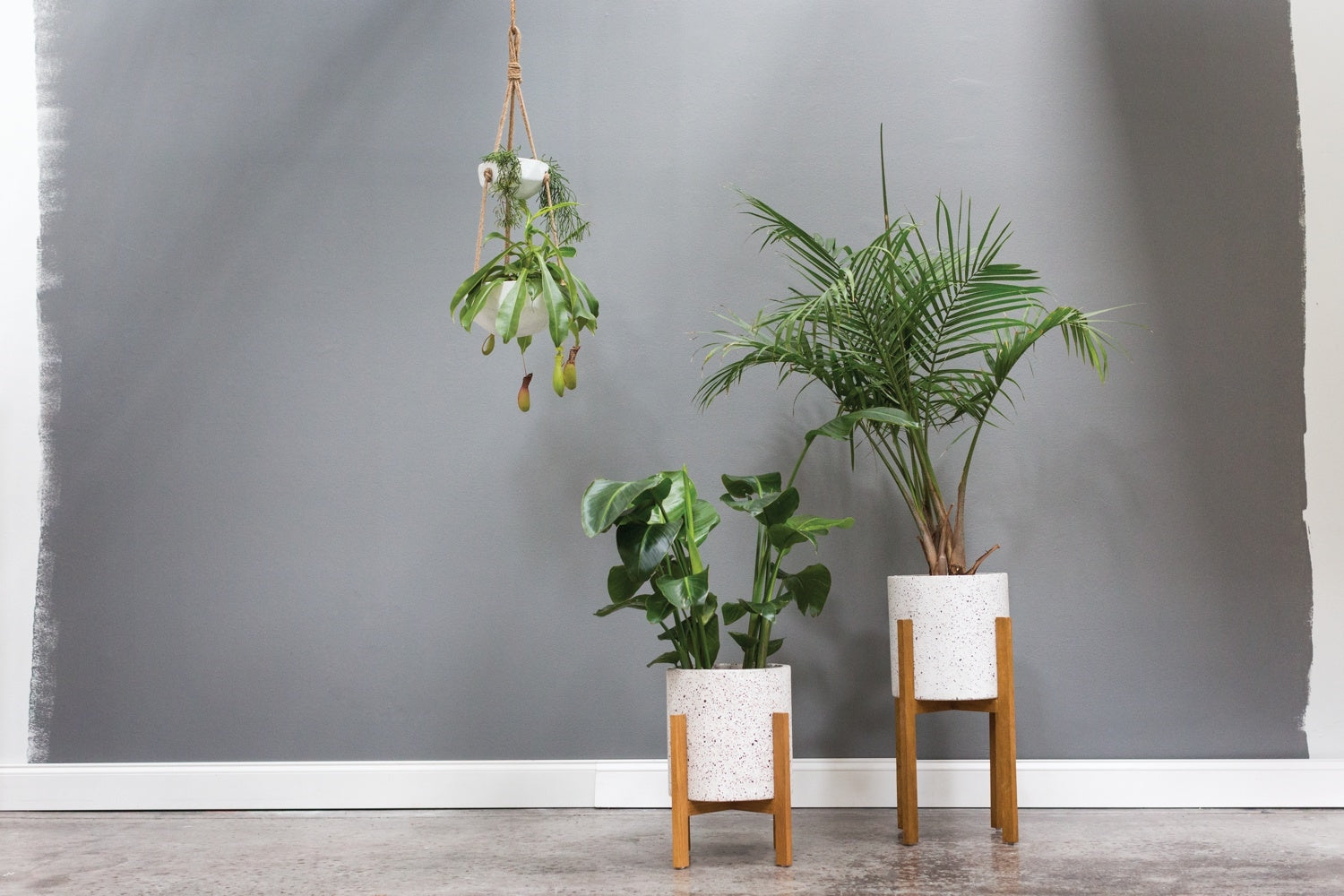 Dale Planter image 3