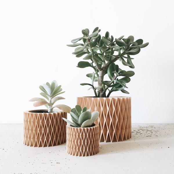 Natural Wood Planter image 1
