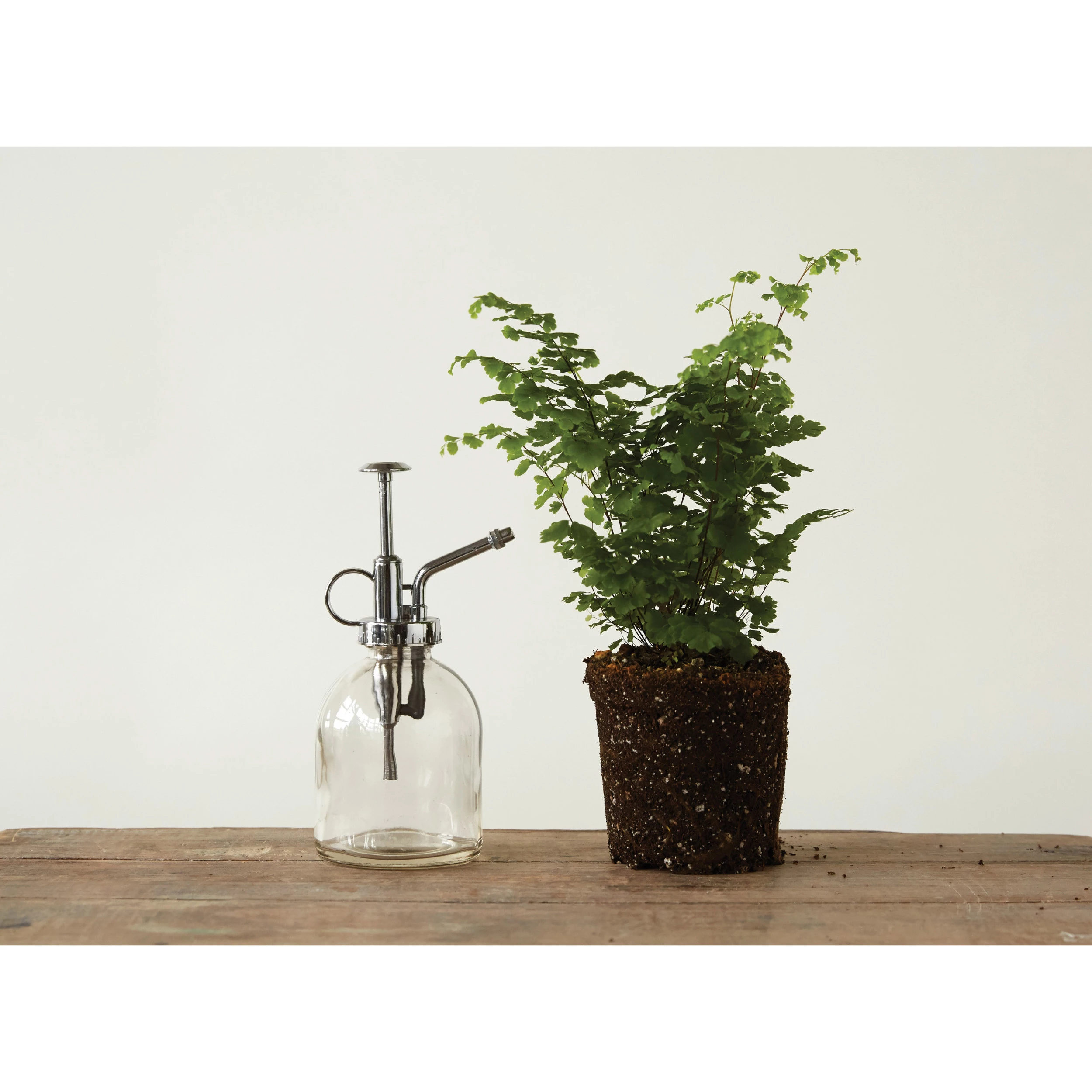 Glass Plant Mister image 1