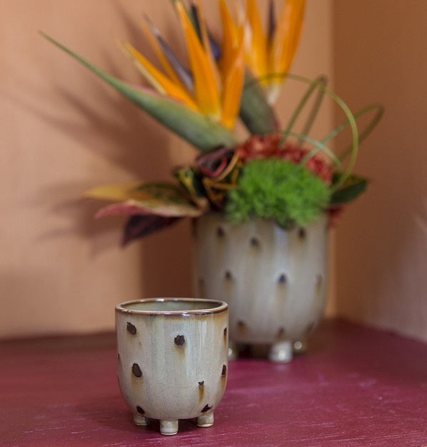 Ziggy Pot image 1