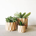 Natural Wood Planter image 0