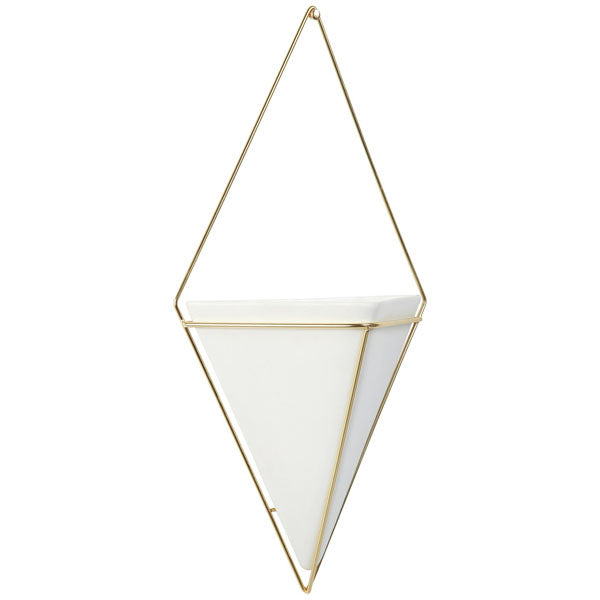 Trigg Wall Vessel Display Gold image 0