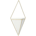 Trigg Wall Vessel Display Gold image 0