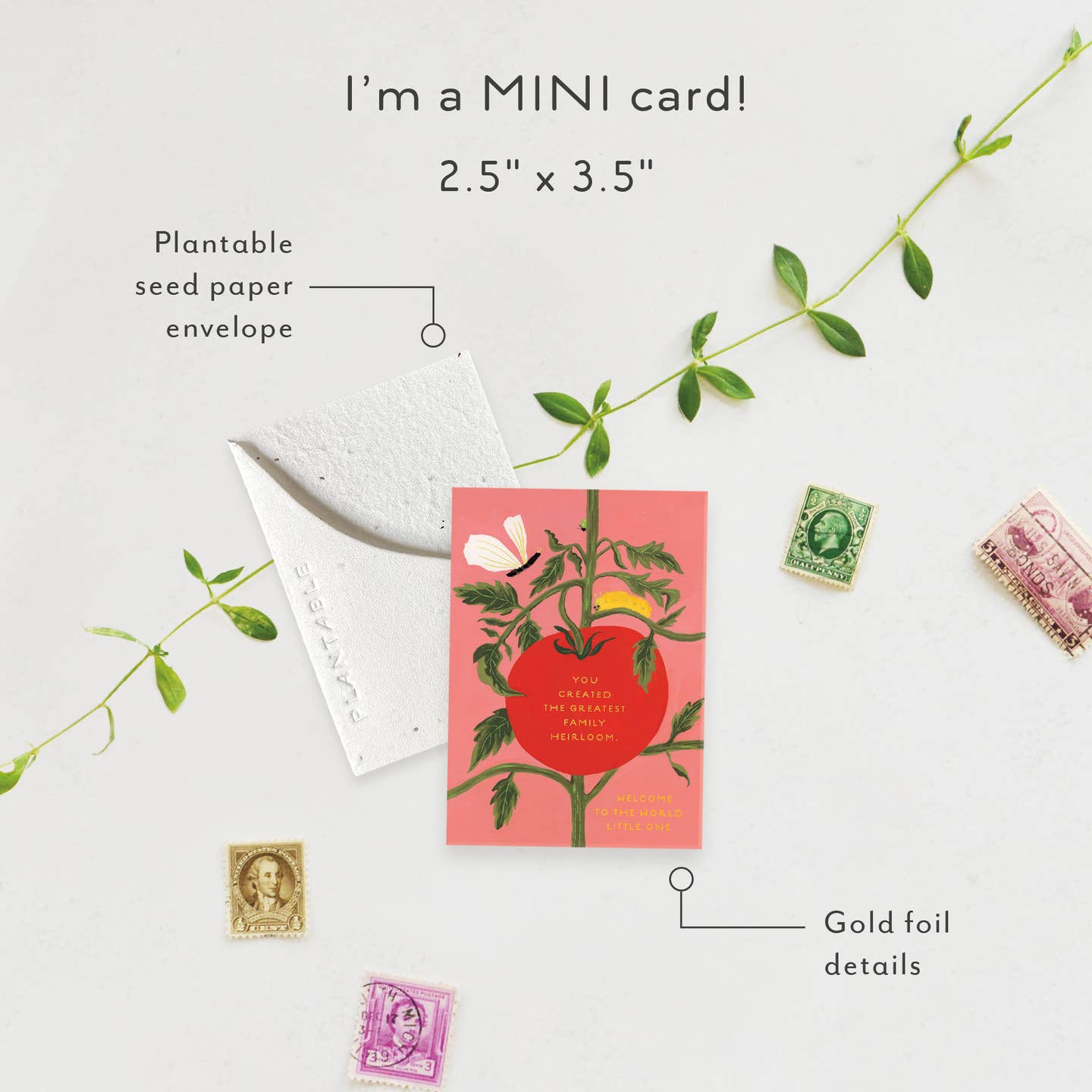 Heirloom - Baby Card (Mini) image 1