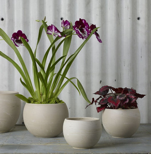 Astrid Pot image 1