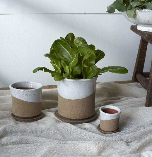 Roon Pot image 1