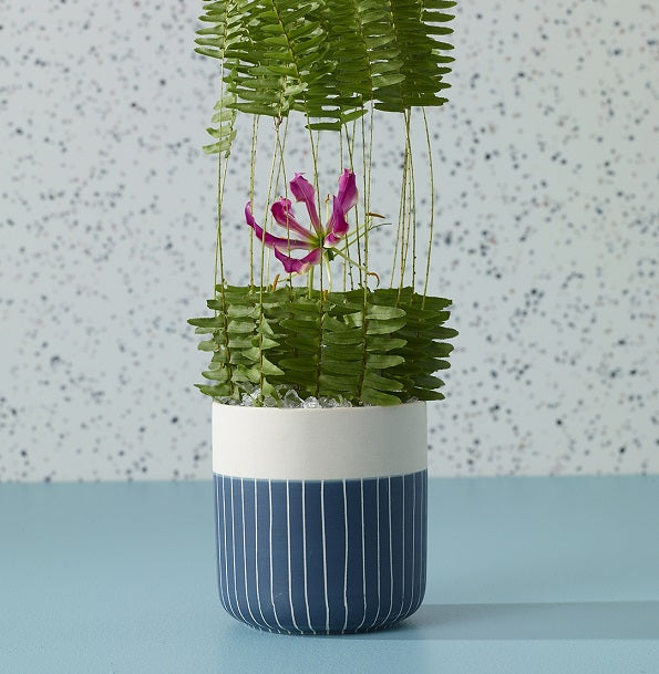 Westview Planter image 1