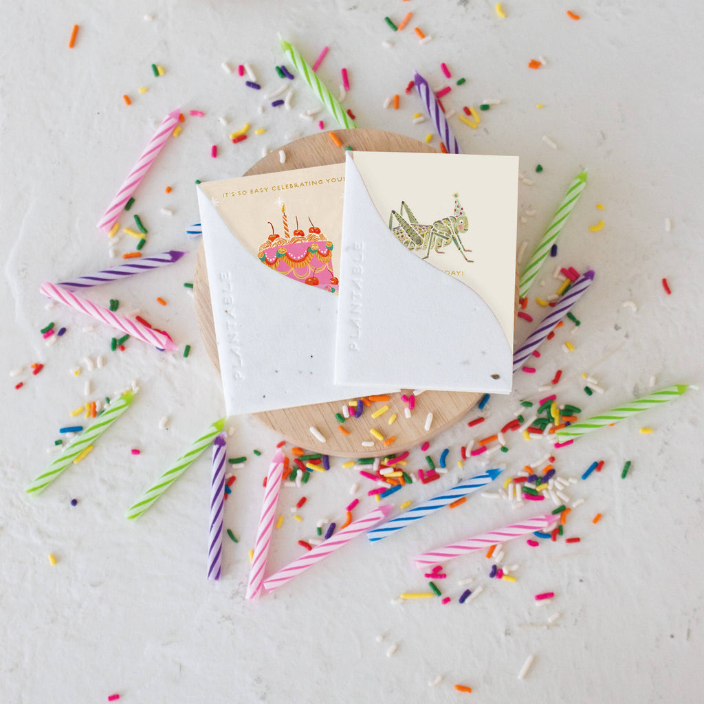 Hoppy Bday Sprout - Birthday Mini