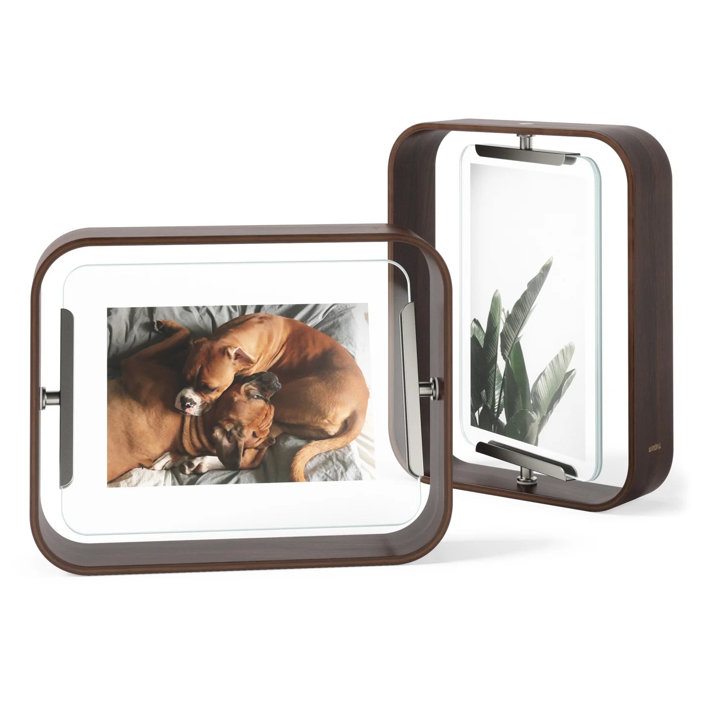 Bellwood Picture Frame image 6