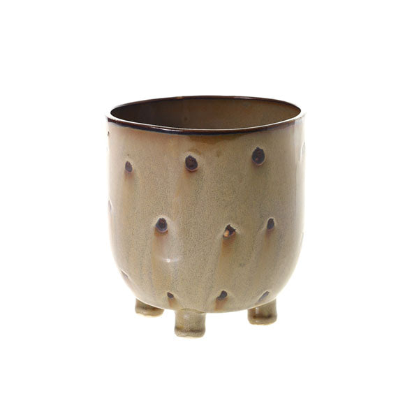 Ziggy Pot image 0