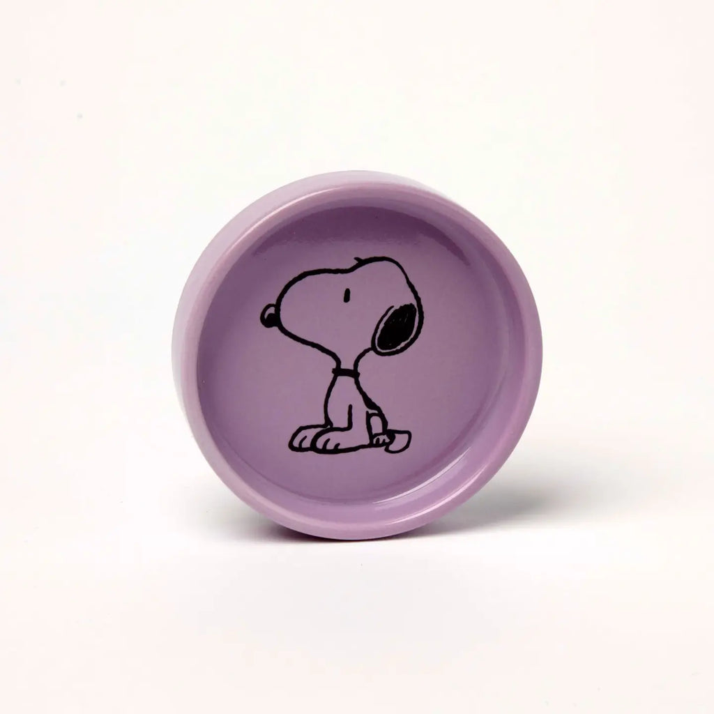 Peanuts Pin Dish image 6
