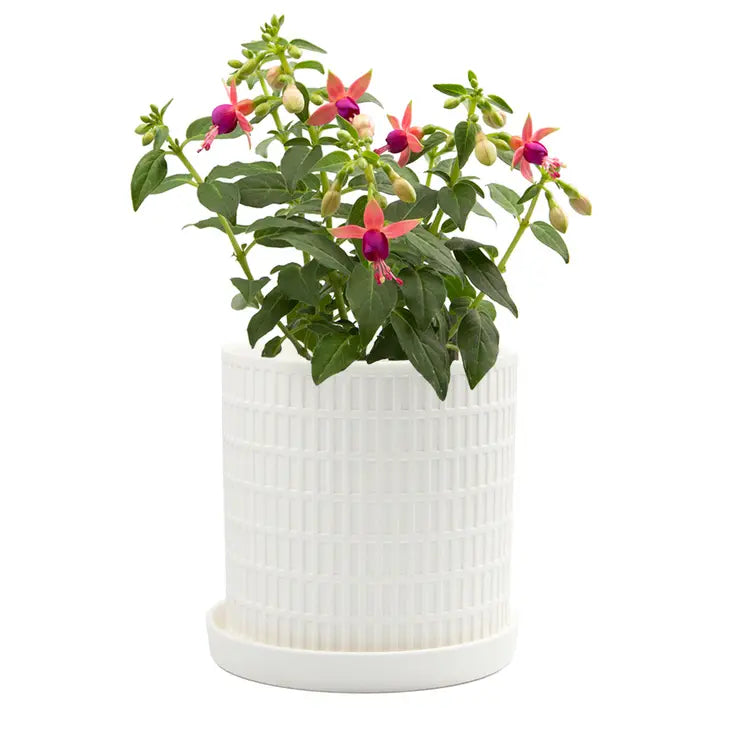 Virago Pot image 2