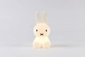 Miffy - Bundle of Light image 0