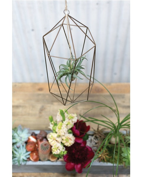 Tillandsia Hanger image 7