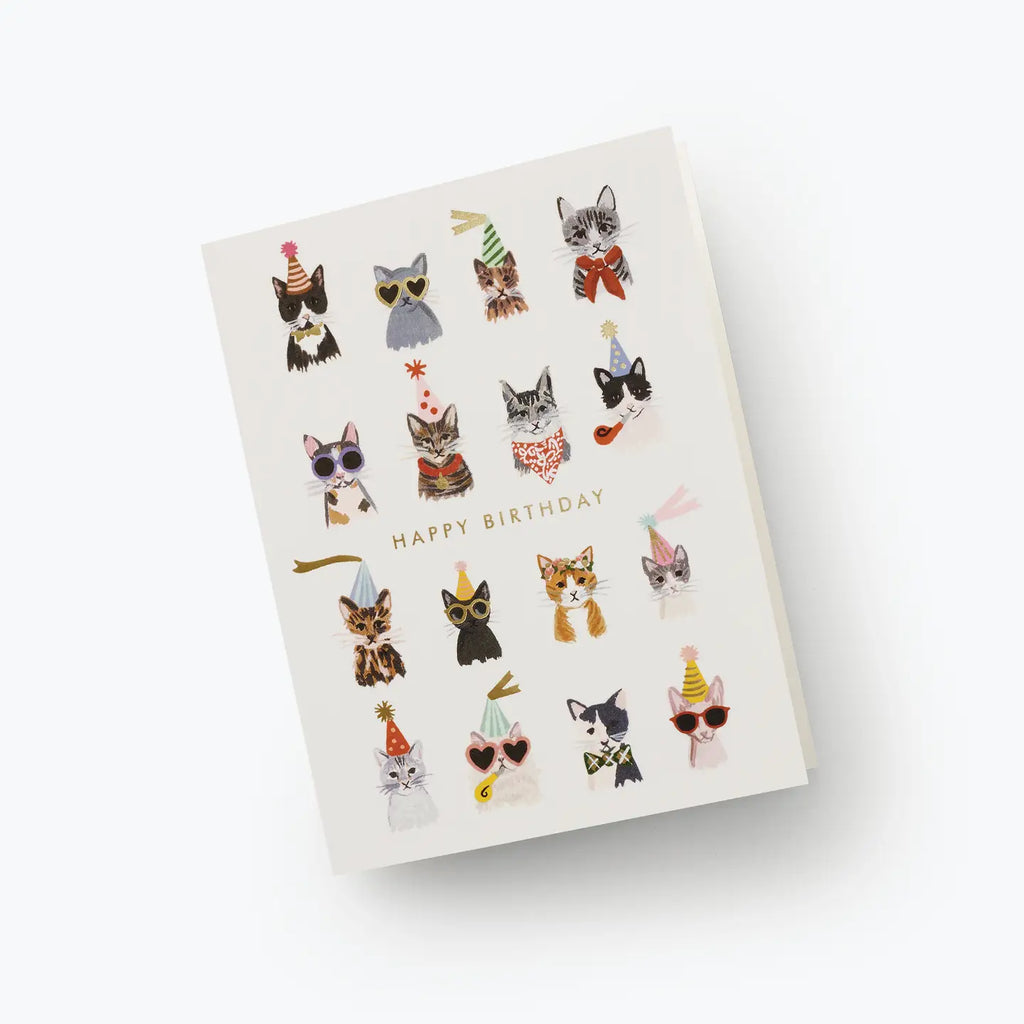Cool Cats Birthday Card image 1