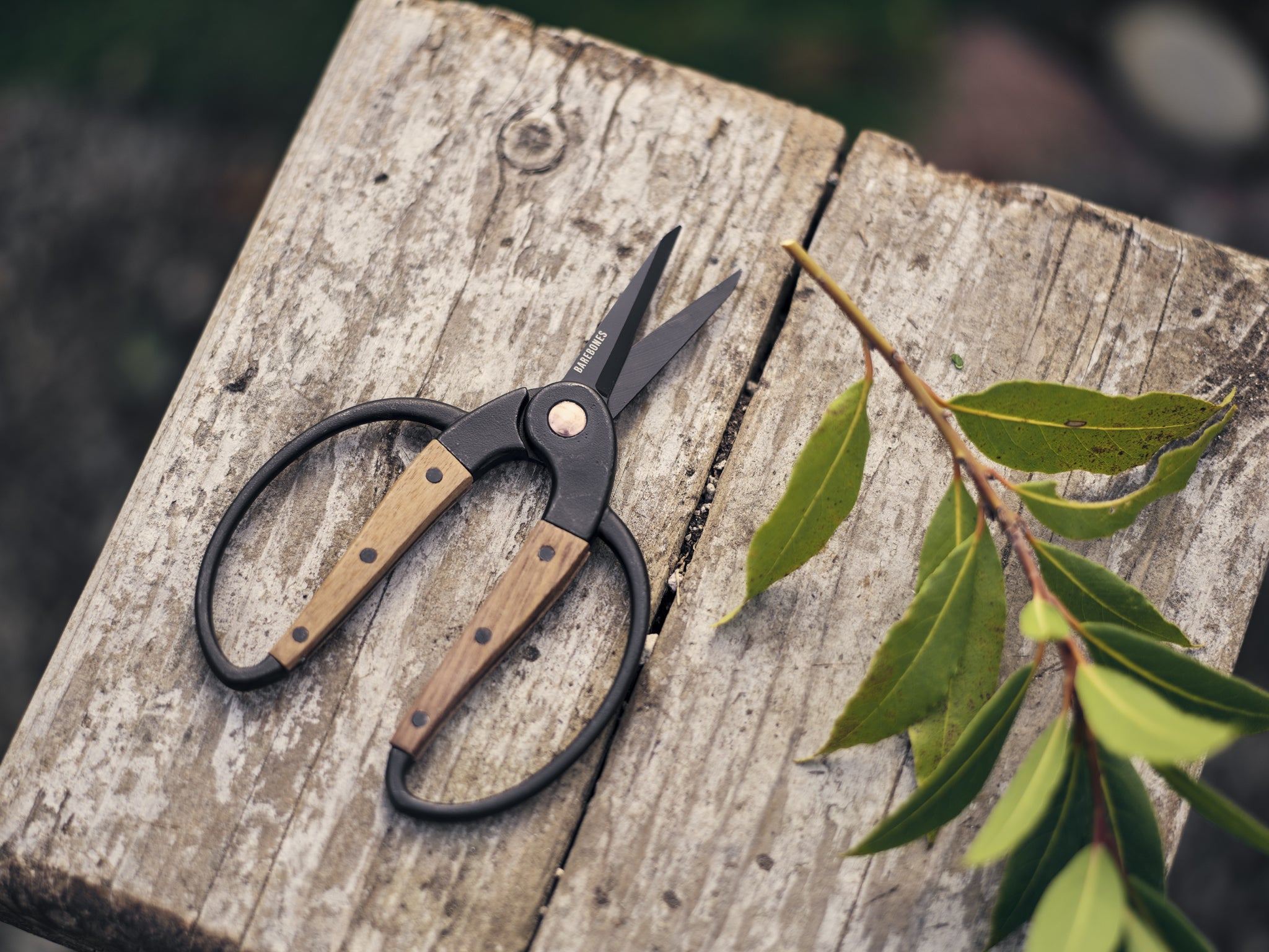 Garden Scissor image 5