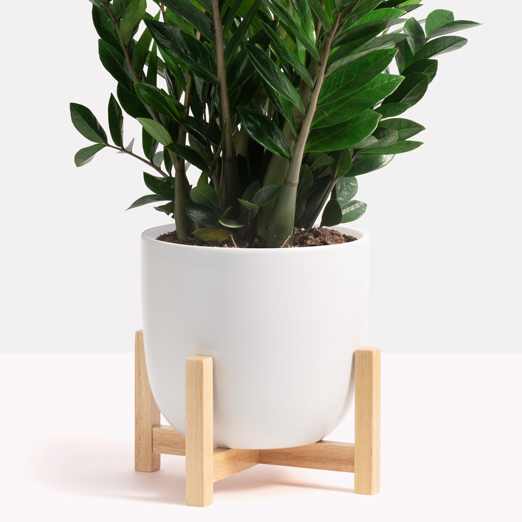 Wood Plant Stand image 1